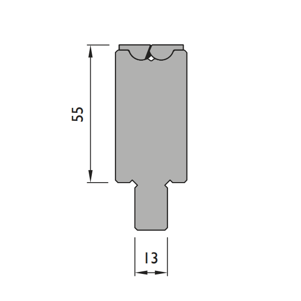 FMRV.T55.1